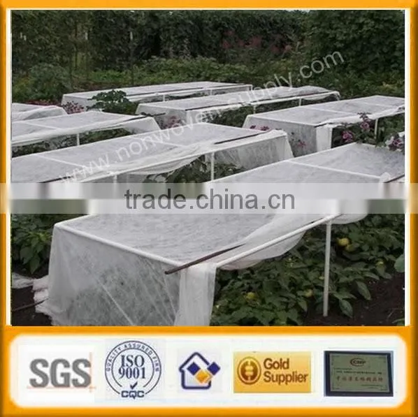 Non-woven Weed Control Cover Wholesale photo-4