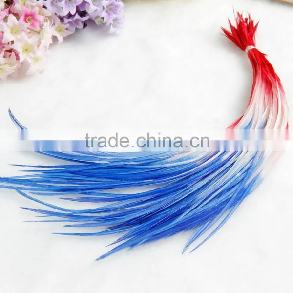 New Arrival Beautiful Ombre Real Hair Feather Extension photo-6