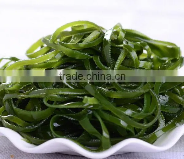 Bubble Type Kelp Washing Machine|Mushroom and Bean Sprout Cleaning Machine photo-6