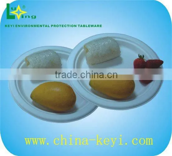 High Quality Eco-friendly Plate photo-2