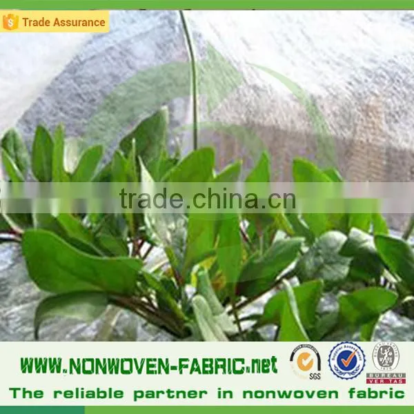Polypropylene Plant Protection Fabric Blanket Fleece For Plants/Nonwoven Fabric For Agriculture photo-3