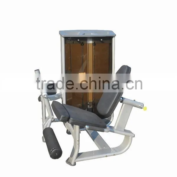 Leg Extension D-1010 photo-2