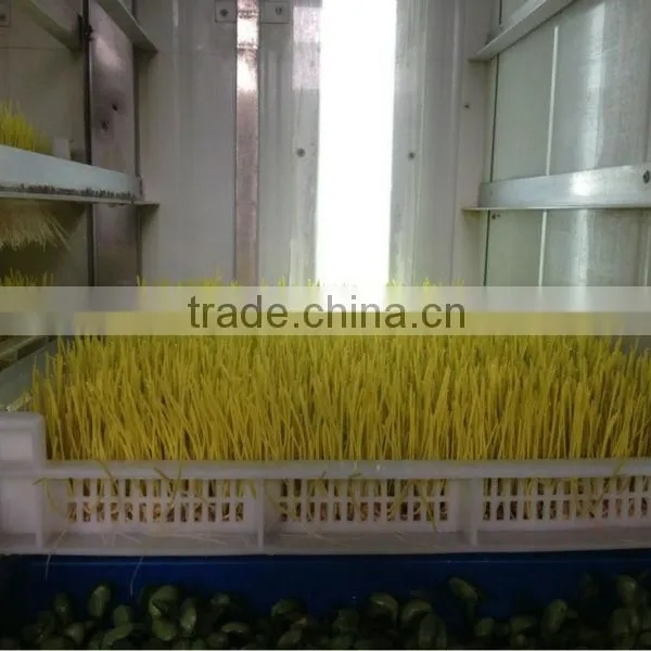 Hydroponics Animal Fodder Bean Sprout Machine/oat Sprouting Machine/ Bean Sprout Growing Machine on Sale photo-2