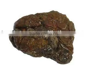 Natural Crude Raw Propolis for Sale