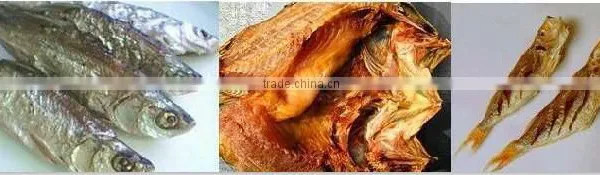 Automatic China Many Buyer Choice Stainless Steel Catfish Drying Machine photo-5