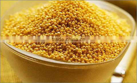 Hulled Millet From Ukraine