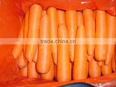 Fresh Carrot 2016 Crop photo-5