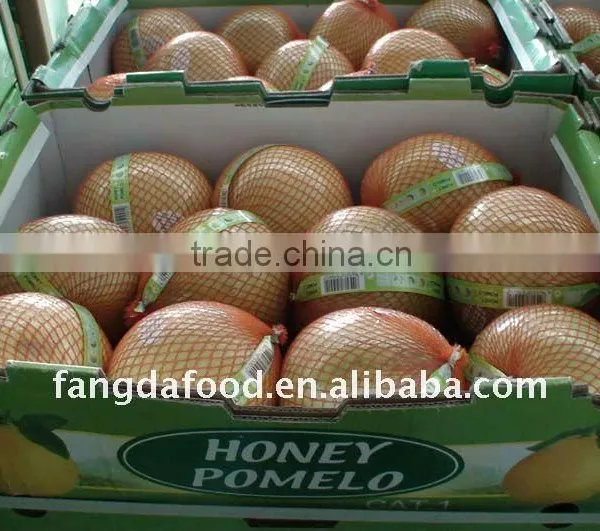 Pomelo/Fresh Pomelo