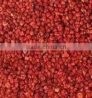 Gloriosa Superba Seed
