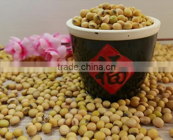 Organic Soybean With Nutritional Value Yellow Soy Beans photo-6