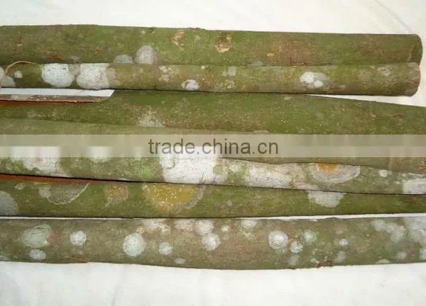 Vietnam Cassia Whole Tube High Quality photo-5