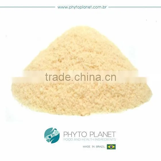 DRIED MANGO POWDER