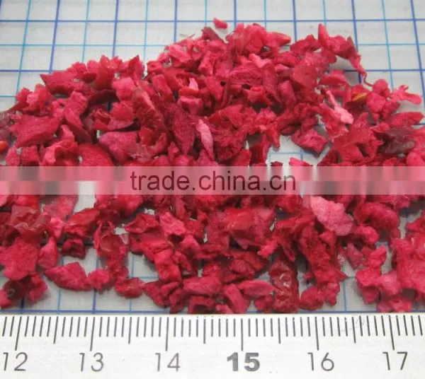 Freeze Dried Cranberry Dice photo-2