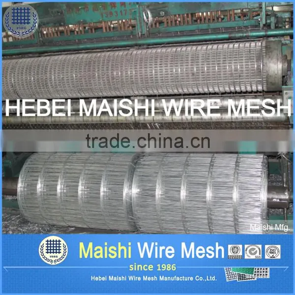 Small Hole Welded Mesh Cage for Birds photo-5