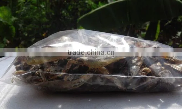 Dried Anchovi