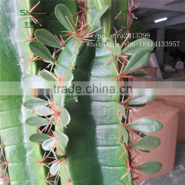 CHY030930 Landscaping Cactus Plant With Flowers/indoor Plastic Succulent Plant photo-5