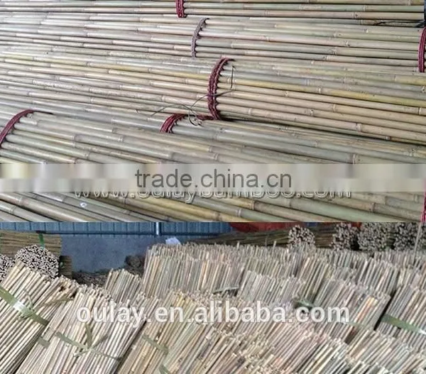 Durable Nature Eco-friendly Solid Bamboo Poles Small Packages photo-3