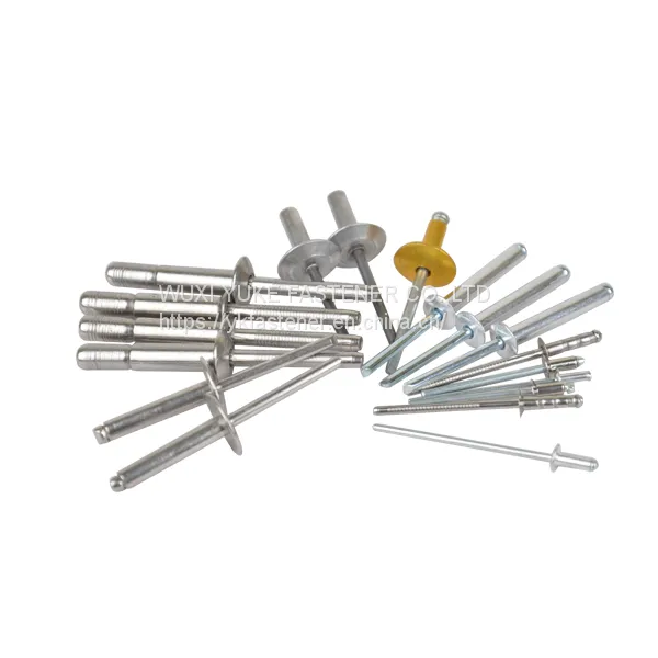RIVET photo-2