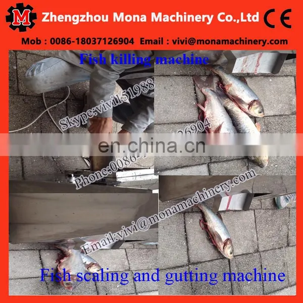 Good Feedback Fish Gutting Machine/ Automatic Fish Gut Removal Machine / Fish Killing Machine Processing photo-2