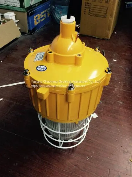 Integrated Explosion-proof Lamp Explosion-proof Bend Lamp 175W Explosion-proof Metal Halide Lamp Ccd92-l175b1z photo-3