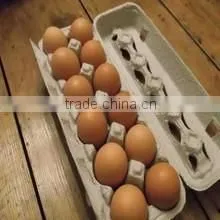 100% Pure Waste Paper Pulp Moulded Egg Trays photo-3