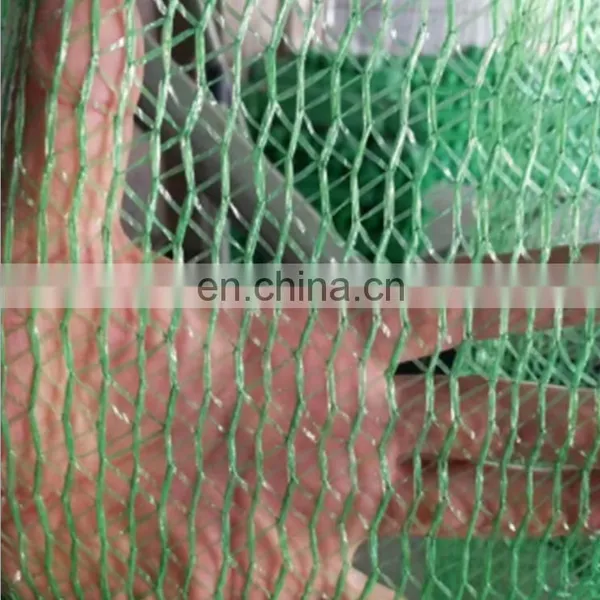 Plastic Net Green Agricultural Vegetable Shade Cloth photo-4