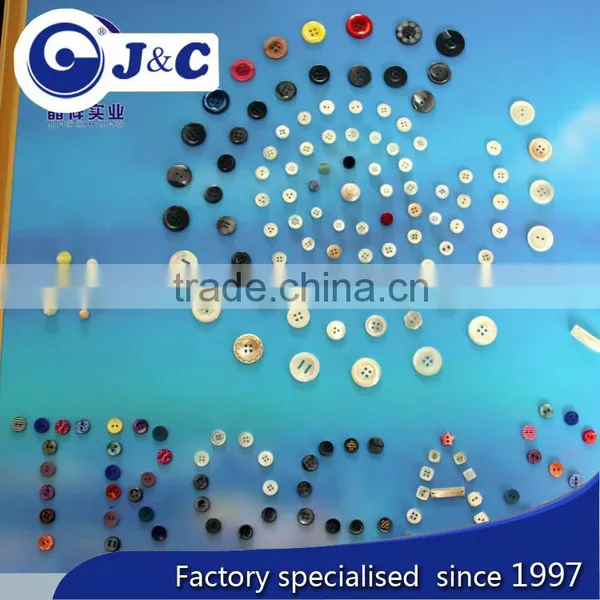 Colourfull Trocas Shell Button in Stock photo-2