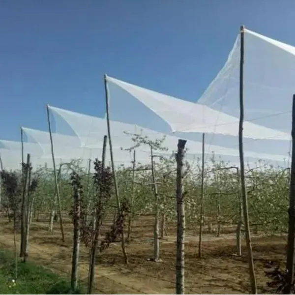 Orchard Anti Hail Netting photo-4