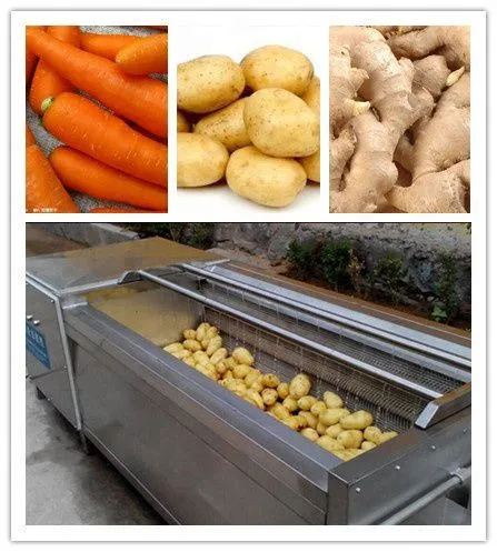 Rotary Roller Drum Fruit and Vegetable Washing Machine for Promotion photo-5