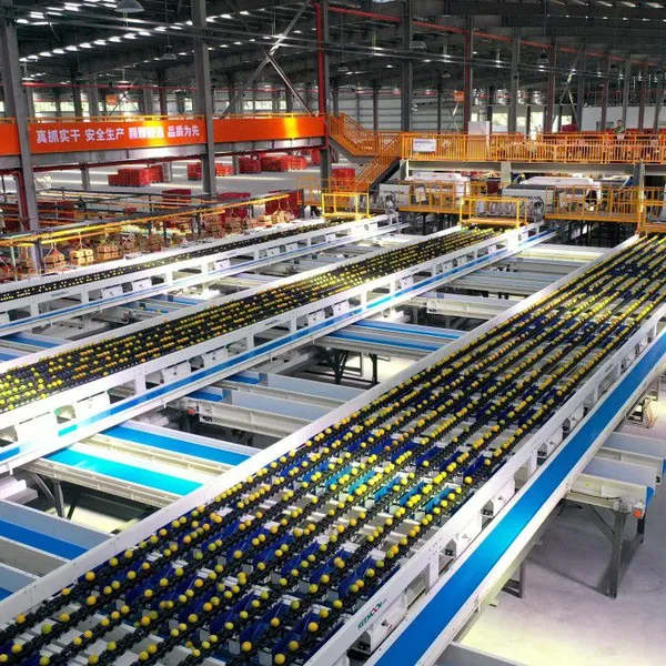 REEMOON Orange Intelligent Sorting and Grading Solution, Oranges Sorter Machine, Grading Equipment photo-3