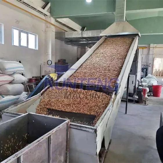 Fast Drying Tunnel Mesh Belt Automatic Food Drying Processing Line Dry Bean Harvester Machine Beans Dryer Machine photo-2