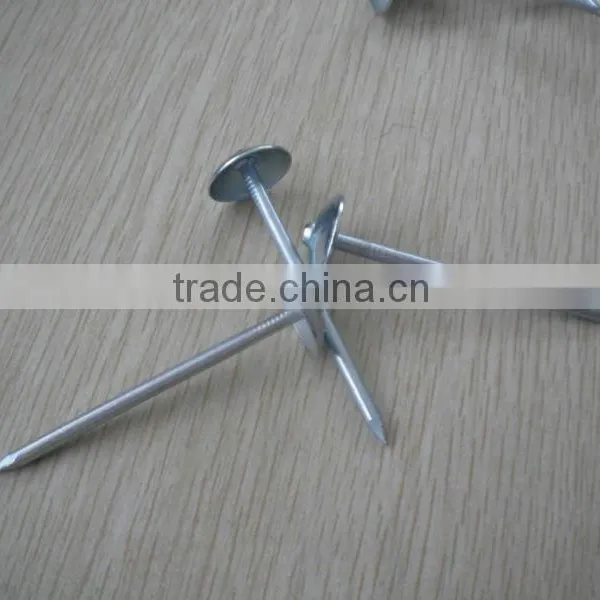 Electro Galvanized Twisted Shank Roofing Nails photo-3