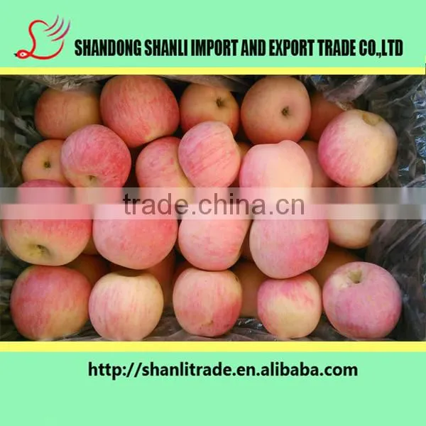 Buy Paper Bagged/fresh Yiyuan Fuji Apple/chinese Apple Price photo-5