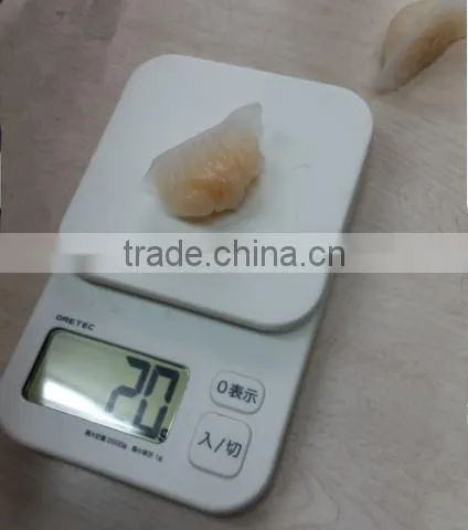 JG-50C Shrimp Dumpling Machine/ Har Gow/dumpling Maker Machine and Equipment photo-5