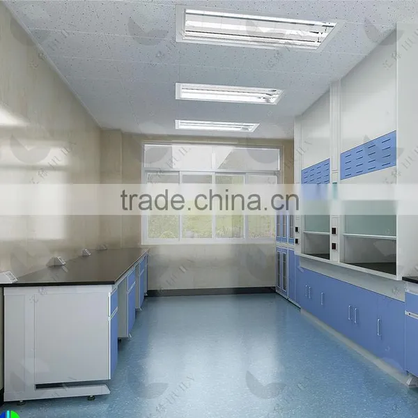 2016 New Dsign Factory Price Laboratory Steel Fume Hood photo-4
