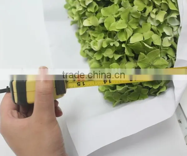 Fragrant Aroma Hot-sale Hydrangea Flower photo-3