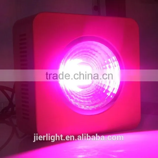 200W COB Full Spectrum LED Grow Light photo-4