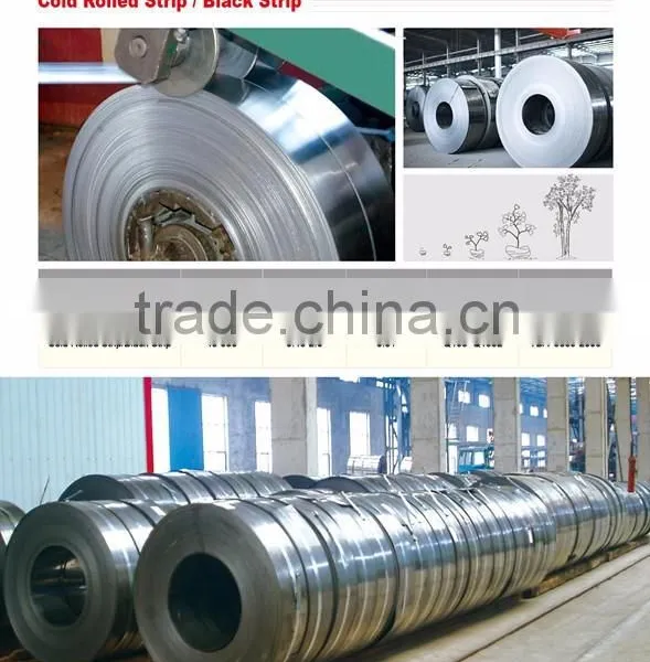 Width 40-600 Galvanized Strip in Coil photo-5