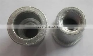 Rivet photo-2