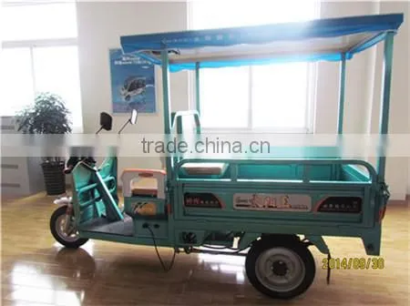 New Product Solar Scooter Electric Motorcycle,three Wheel Electric Vehicle&bike for Sale(48V 800W) photo-3