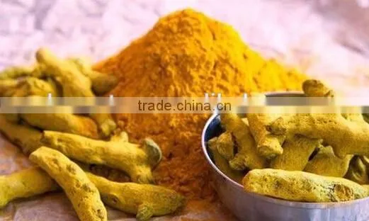 Turmeric Extract photo-2