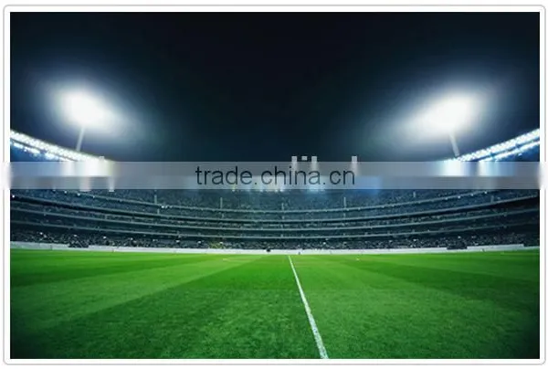 High Luminous Flux Factory Price 200W Stadium Lights For Sale photo-5