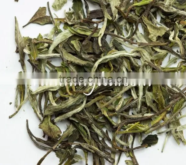 Antioxidant Chinese White Tea Benefits photo-4