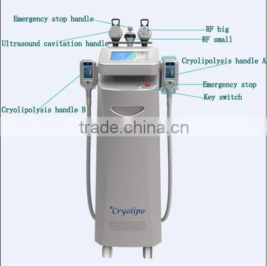 Weight Loss Five Heads Fat Reduce Cryolipolysis Machine With CE Approved / Slimming Machine /lose Weight Machine (CE Approved) Body Slimming photo-3