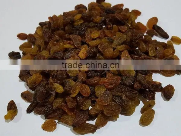 Raisin photo-2