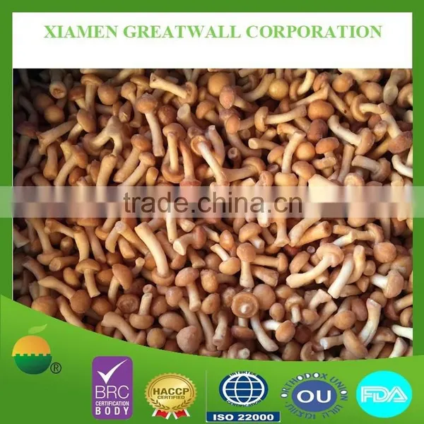 Frozen Nameko Mushroom From China Food Supplier photo-3
