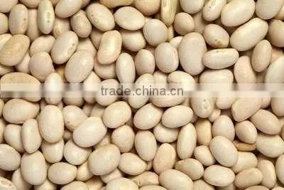 Blanched Peanuts photo-3