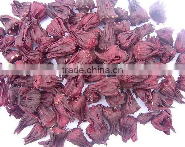 Hibiscus Flower