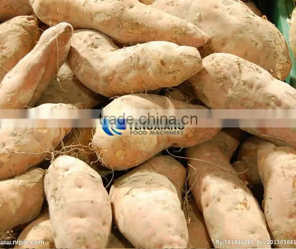 Commercial Potato Ginger Washer and Peeler Turnip Ginger Melon Fruit Ginger Washing and Peeling Machine photo-5