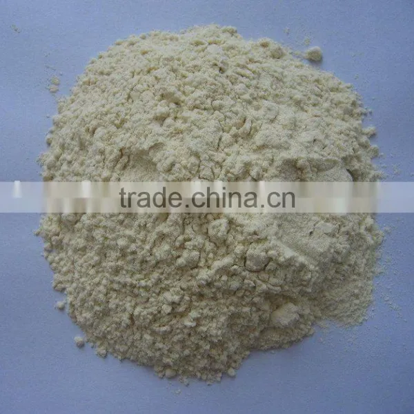 Dehydrated Garlic Powder Ground Garlic